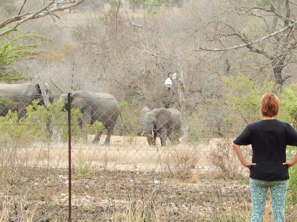 orpen camp in Kruger National Park