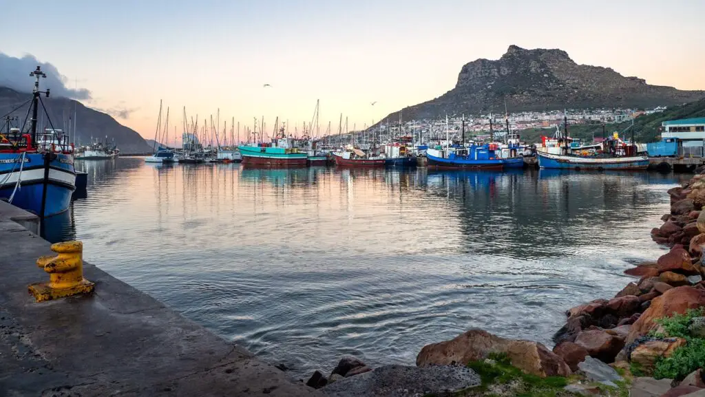 Hout Bay Harbor: a picturesque blend of fishing boats and coastal charm.
