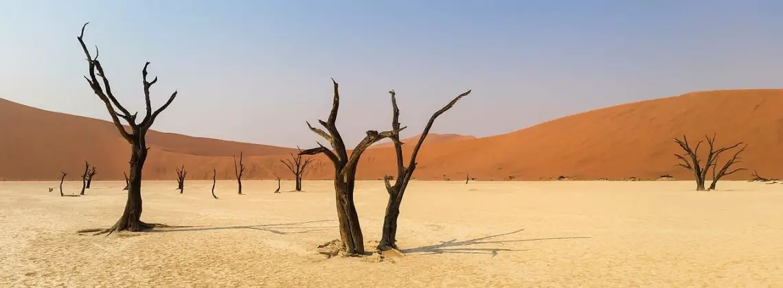 Lost among the haunting beauty of Deadvlei's ancient camel-thorn trees.