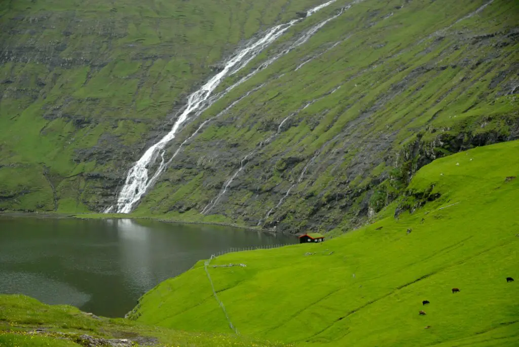 the Faroe Islands, a remote oasis in the North Atlantic Ocean.