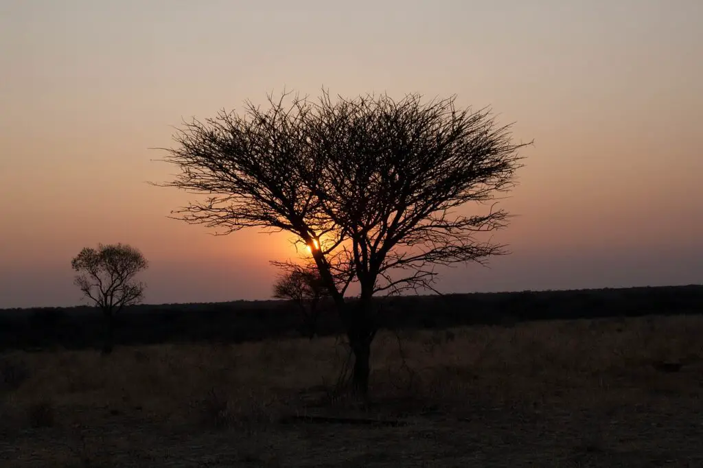sunset in Namibia