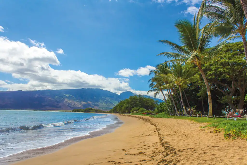 Whale watching in hawaii
Maui